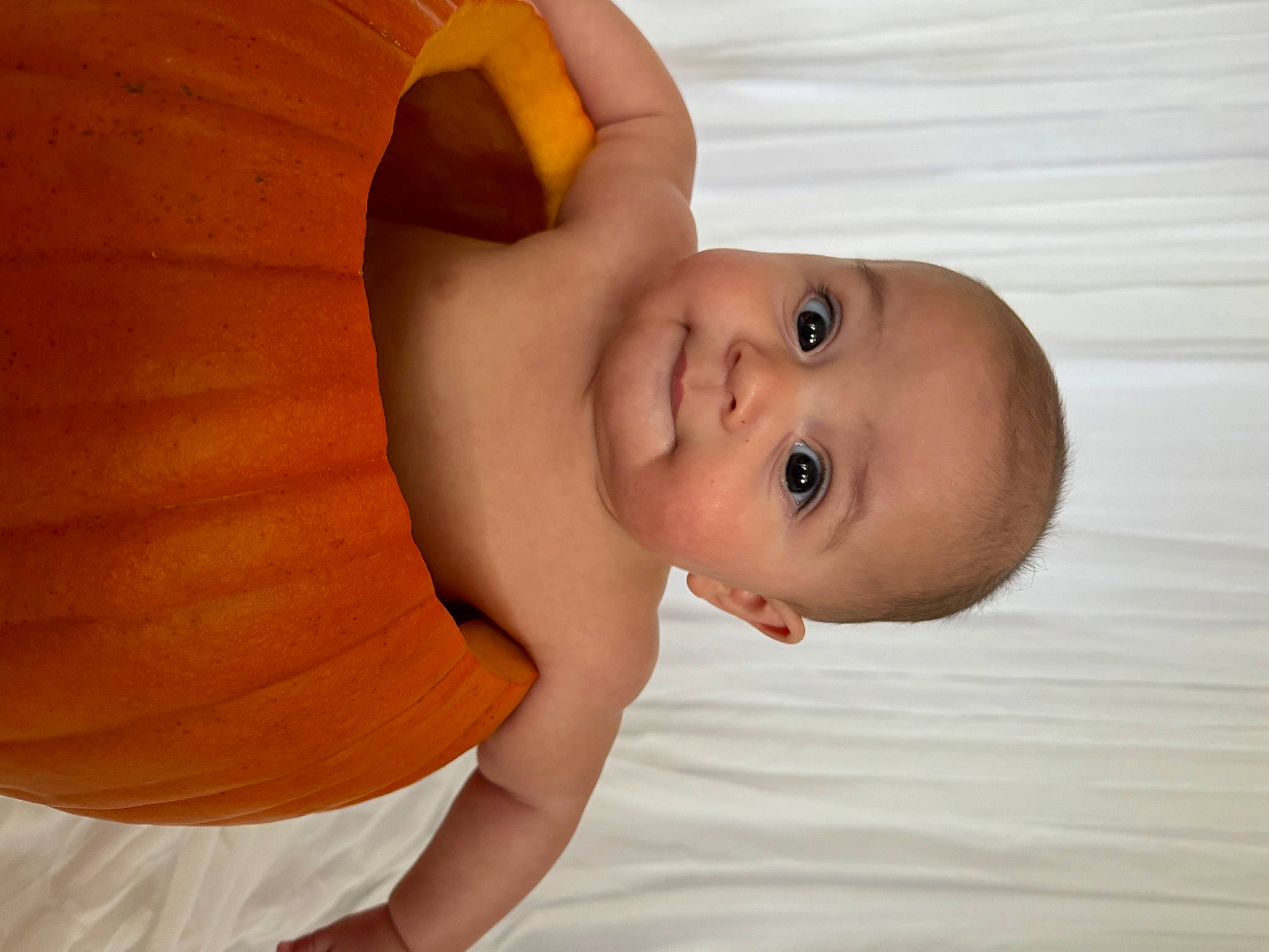 Josiah joined the competition — help win amazing prizes! arm, baby, calabaza, cheek, chest, child, flash_photography, gesture, hand, happy, head, human_body, nose, person, pumpkin, skin, smile, stomach, toddler, trunk