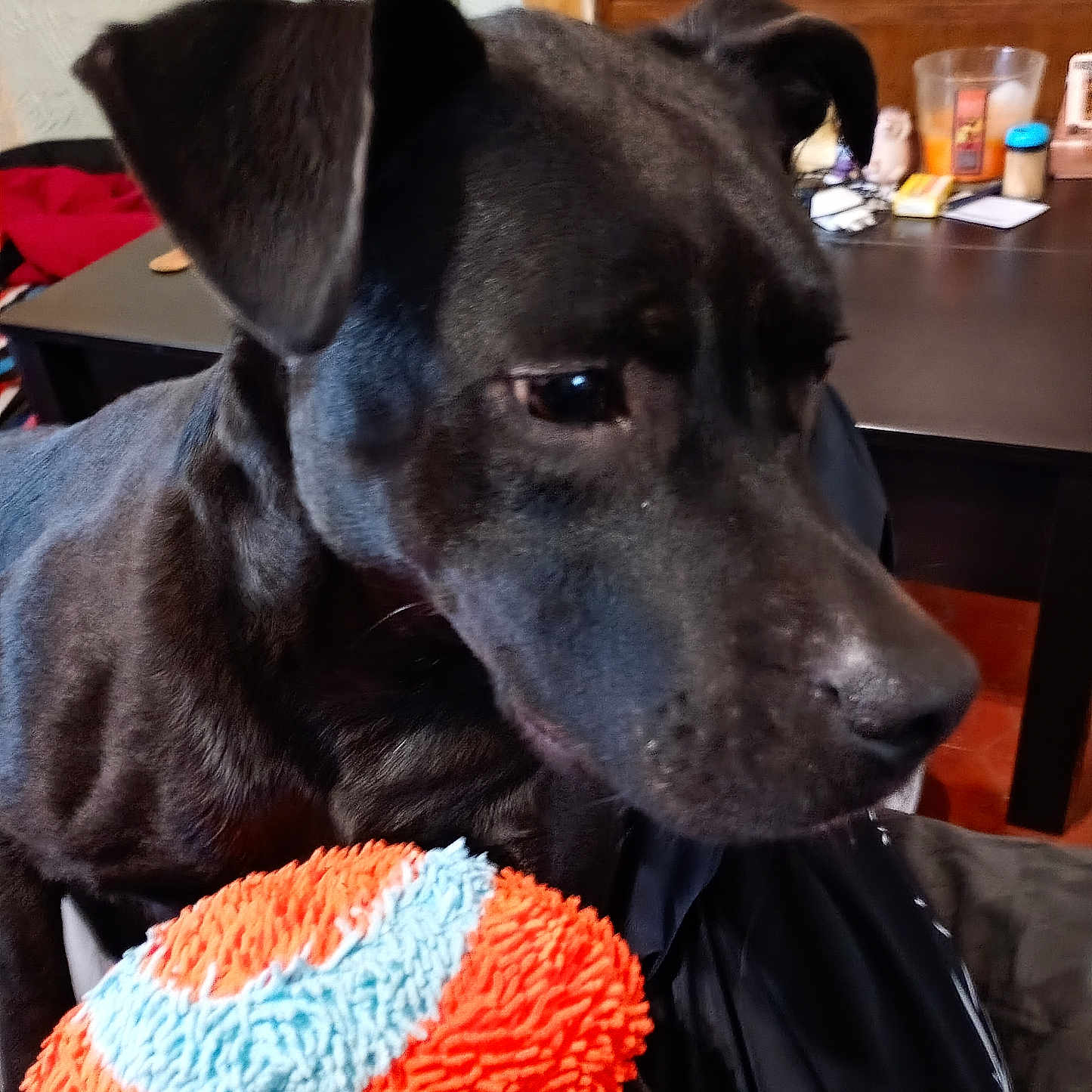 Nalla