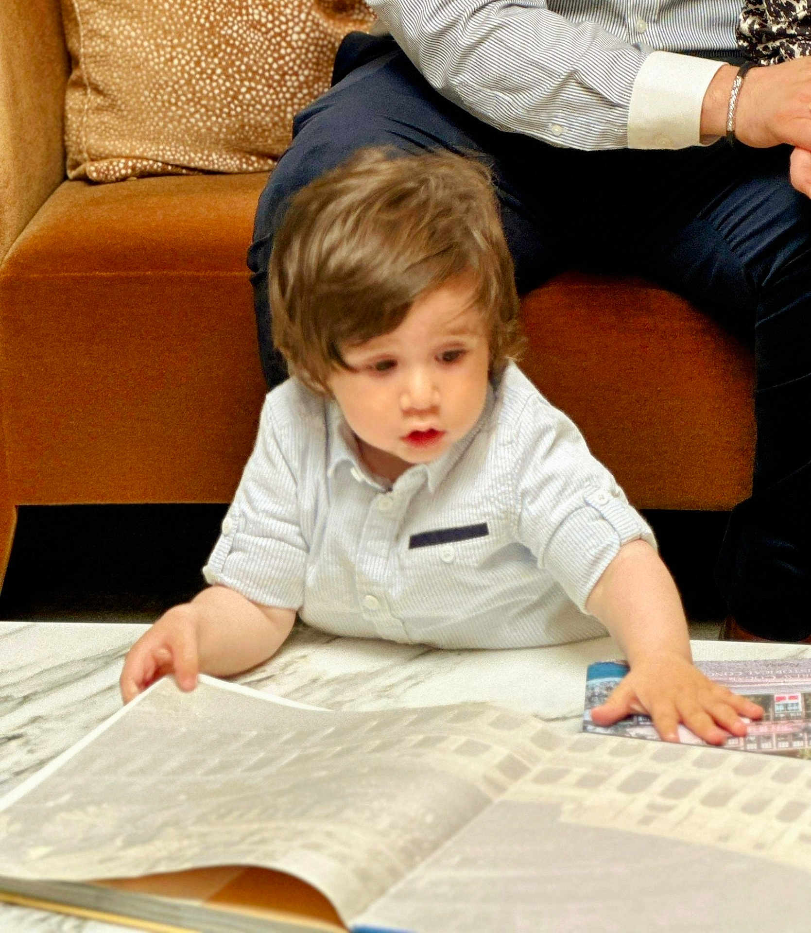 Attila joined the competition — help win amazing prizes! toddler, child, book, reading, table, marble, couch, adult, hand, curly_hair, white_shirt, indoor, furniture, family, interest, focus, brown_couch, casual_clothing, young_child, learning