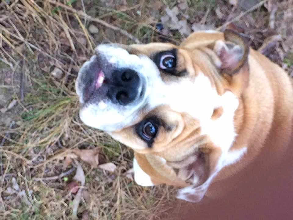 Nora