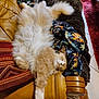 blanket, carpet, cat, comfort, couch, cozy, cream_color, feline, fluffy, furniture, home_interior, indoor, leather, orange, pet, relaxing, resting, sleeping, tile_floor, wood