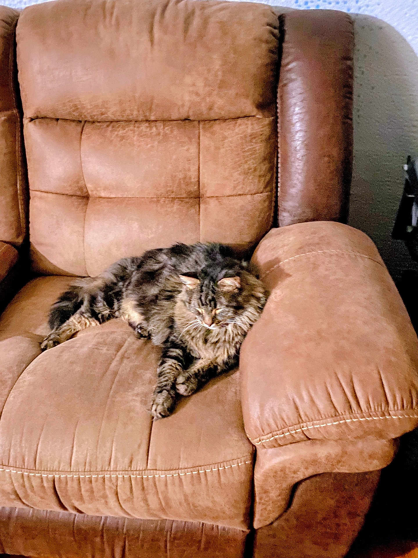 Mittens