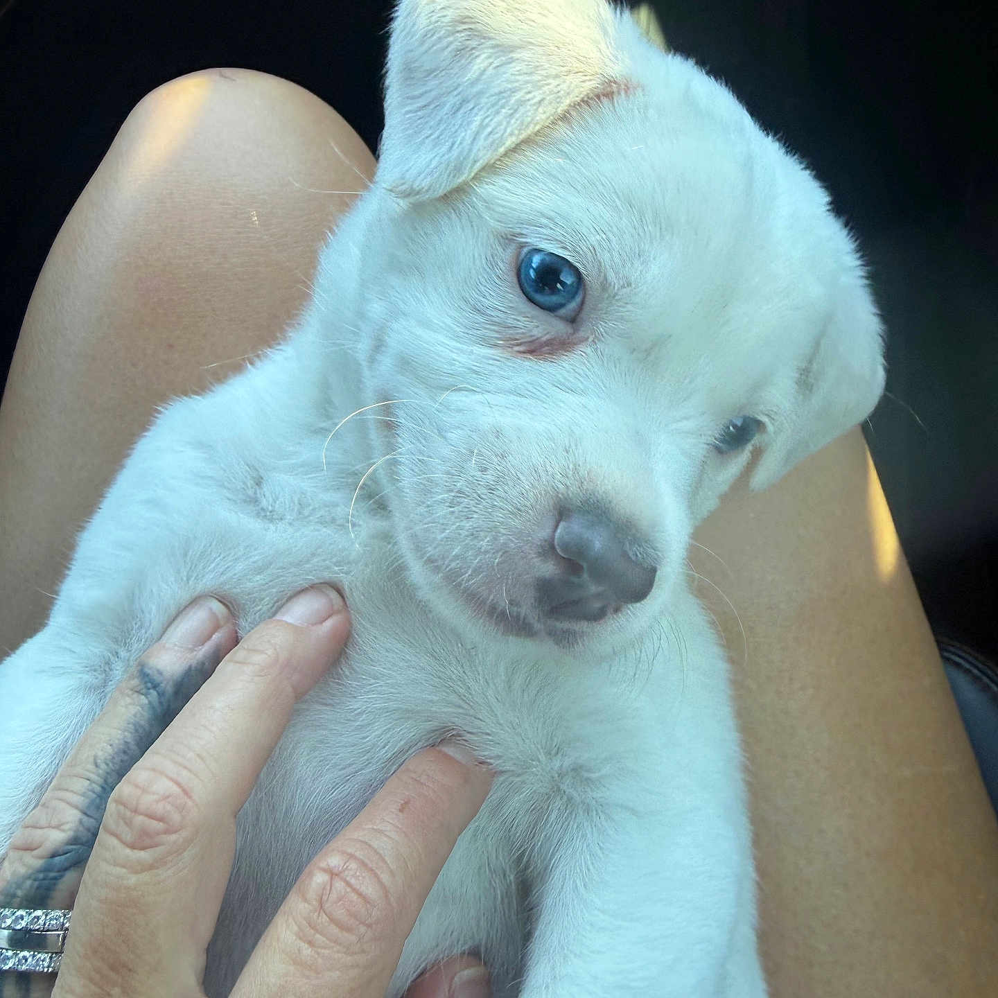 Casper