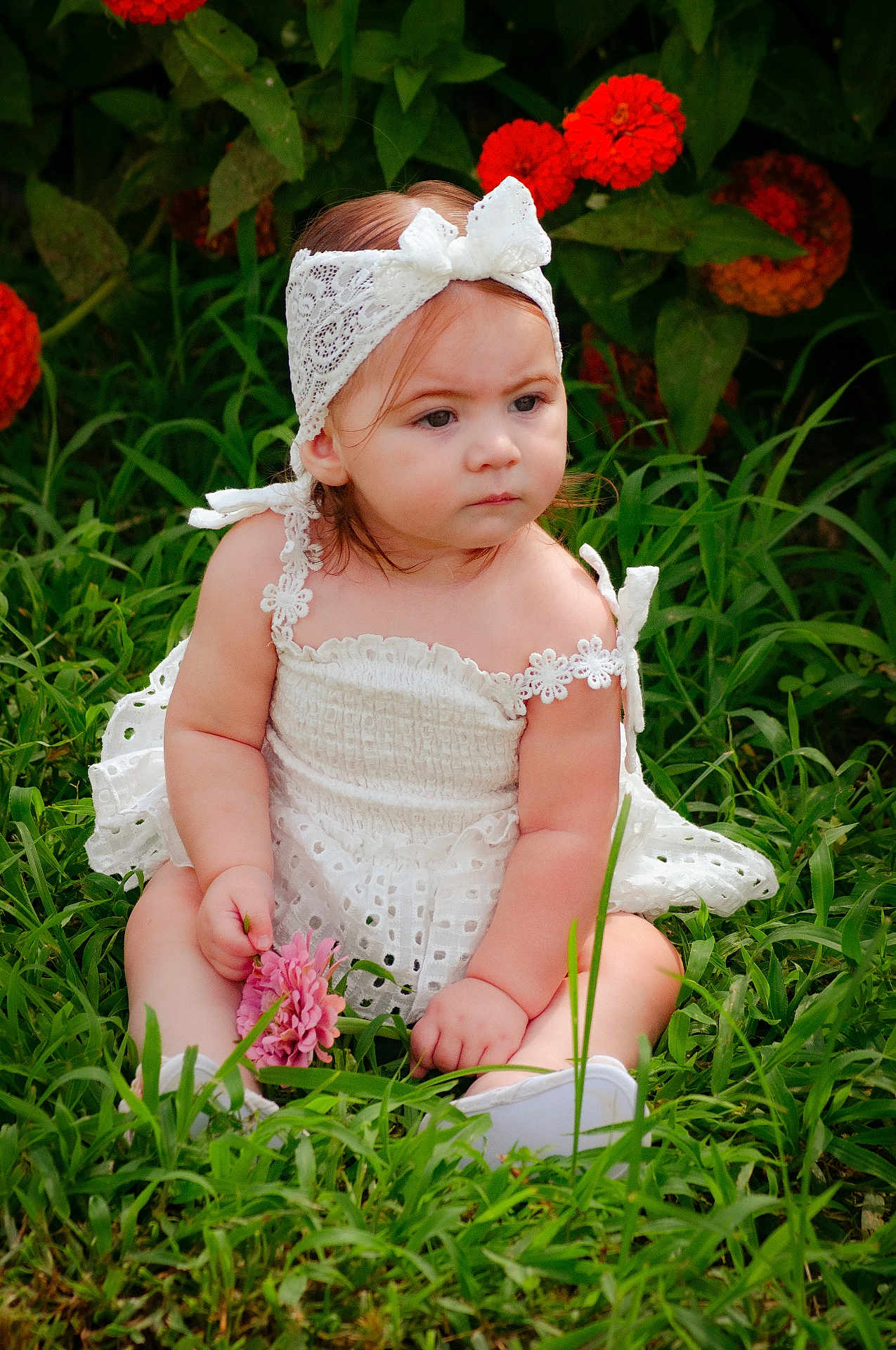Daisy