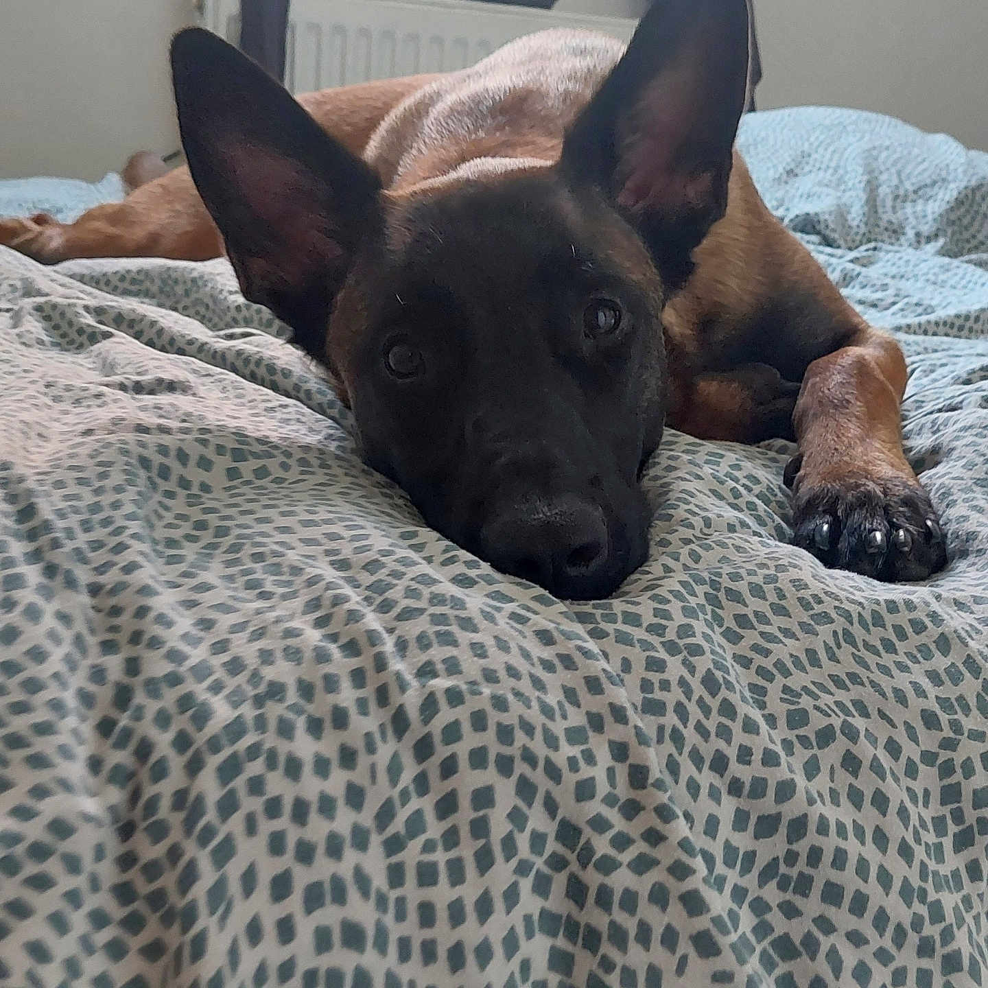 Vanya