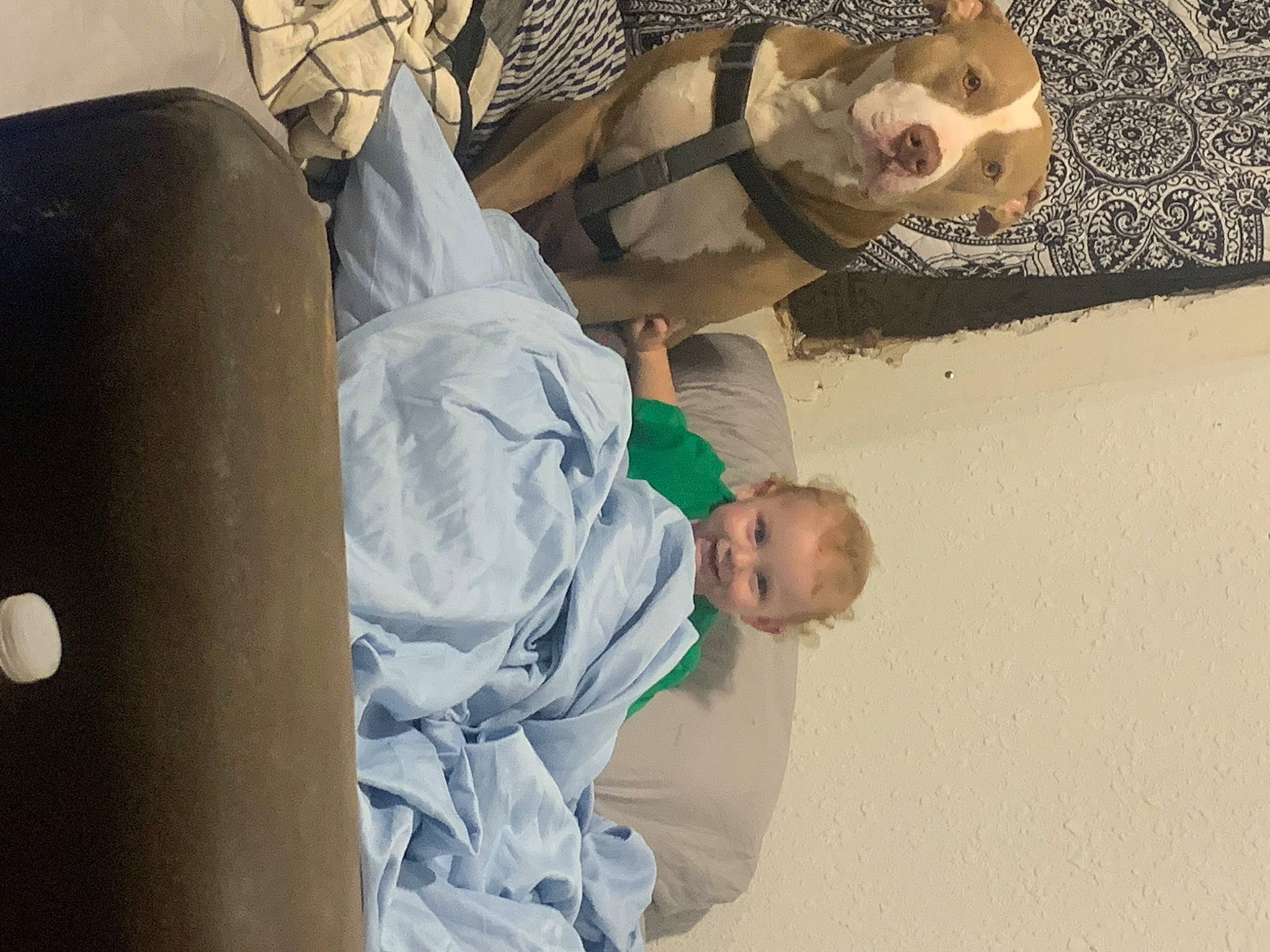 Eden joined the competition — help win amazing prizes! baby_products, backpack, child, comfort, fun, joy, landscape, leisure, military, person, sitting, soldier, toddler, vacation