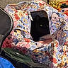 June Carter Cat is registered to the contest to win money with this photo: cat, black_cat, floral_bag, fabric, zipper, indoor, pet, animal, shadow, gift_bows, fan, textile, pattern, colorful, domestic, hidden, cozy, floor, household_item, curiosity