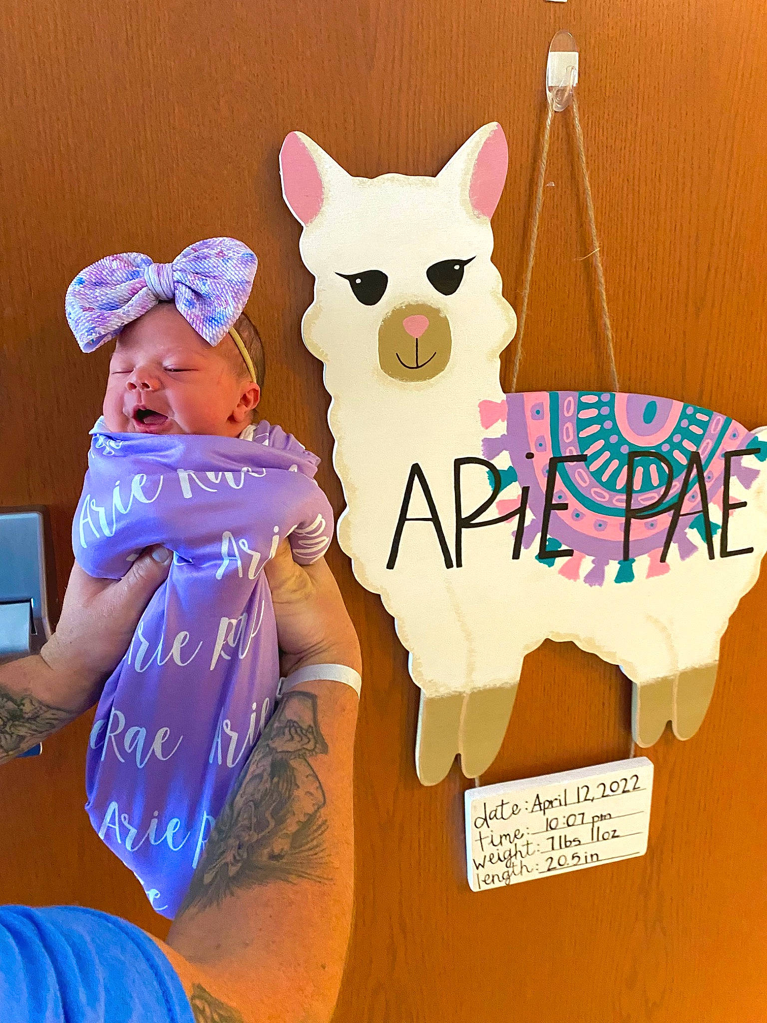 Arie is registered to the contest to win money with this photo: baseball_cap, cap, carnivore, child, companion_dog, dog, electric_blue, event, eyewear, fashion_accessory, fawn, felidae, font, gesture, happy, interaction, party_supply, person, stuffed_toy, tail