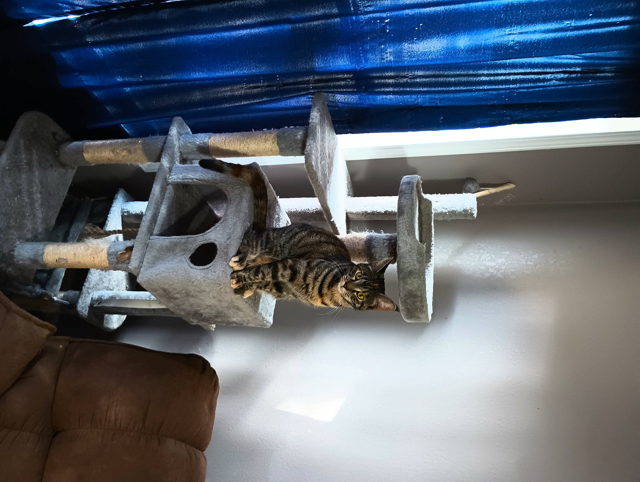 Grogu joined the competition — help win amazing prizes! auto_part, automotive_design, automotive_exterior, automotive_tire, automotive_wheel_system, bumper, engineering, gas, machine, metal, motor_vehicle, nut, rim, vehicle, vehicle_door, wood