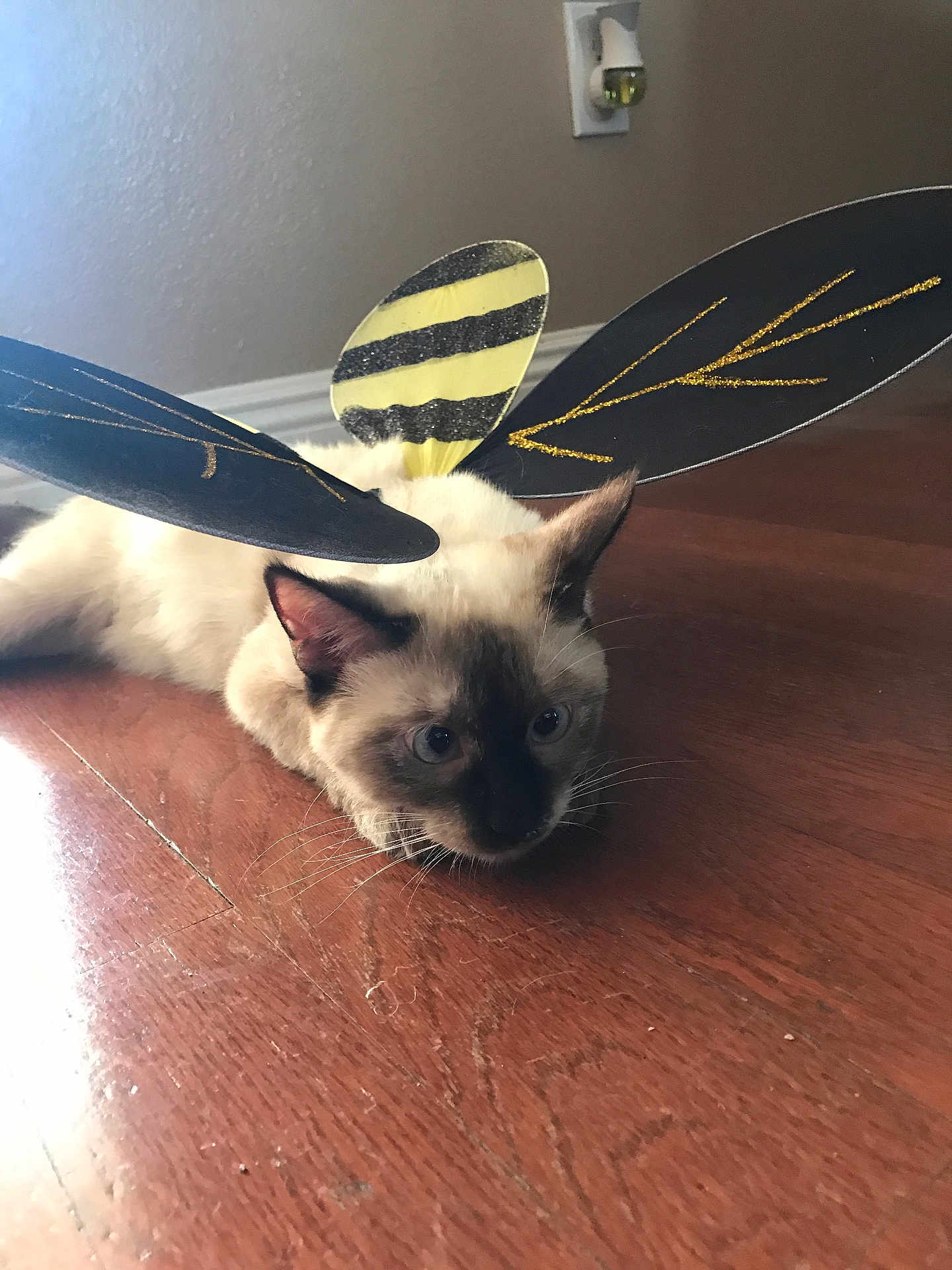 Luna