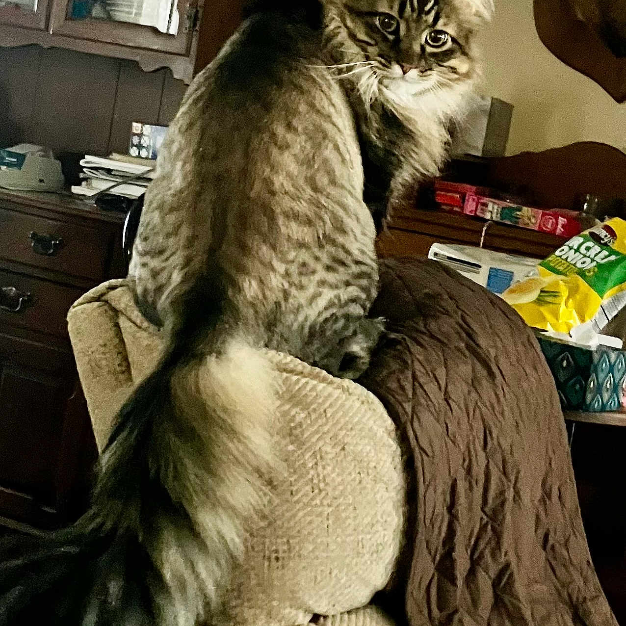Ferris