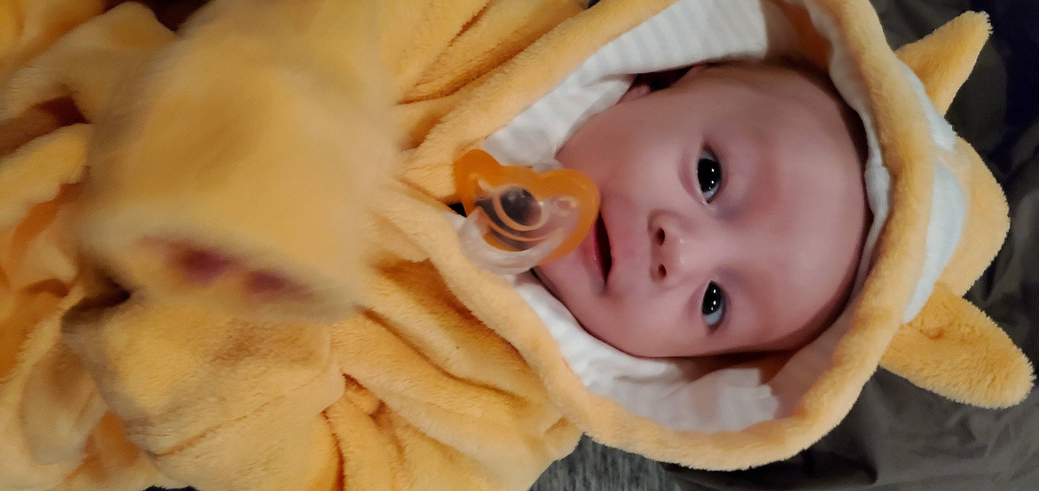 River is registered to the contest to win money with this photo: baby, baby_products, baby_toddler_clothing, cheek, child, close_up, eyebrow, eyelash, grass, happy, headwear, iris, lip, nose, outerwear, peach, person, petal, plant, skin