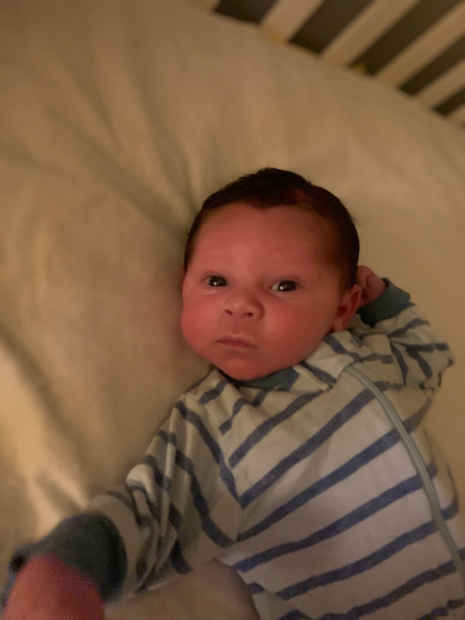 Jayse joined the competition — help win amazing prizes! baby, cheek, child, chin, eye, face, head, iris, lip, mouth, nose, person, skin, toddler