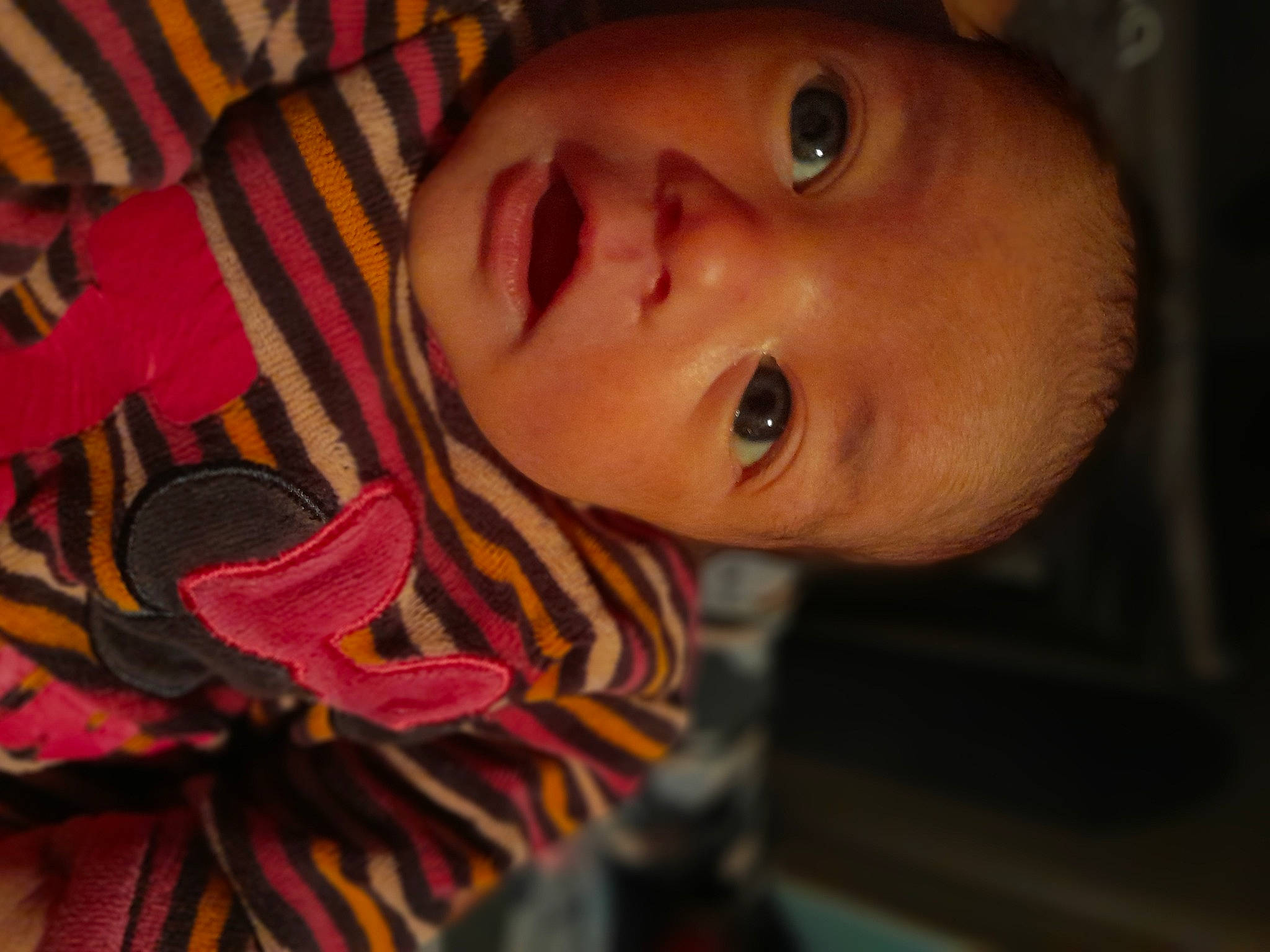 Esmée participe au concours pour gagner de l'argent avec cette photo : baby, baby_toddler_clothing, cheek, chin, dress, eyebrow, eyelash, facial_expression, happy, human_body, iris, lip, mouth, neck, nose, person, plant, skin, smile, toddler