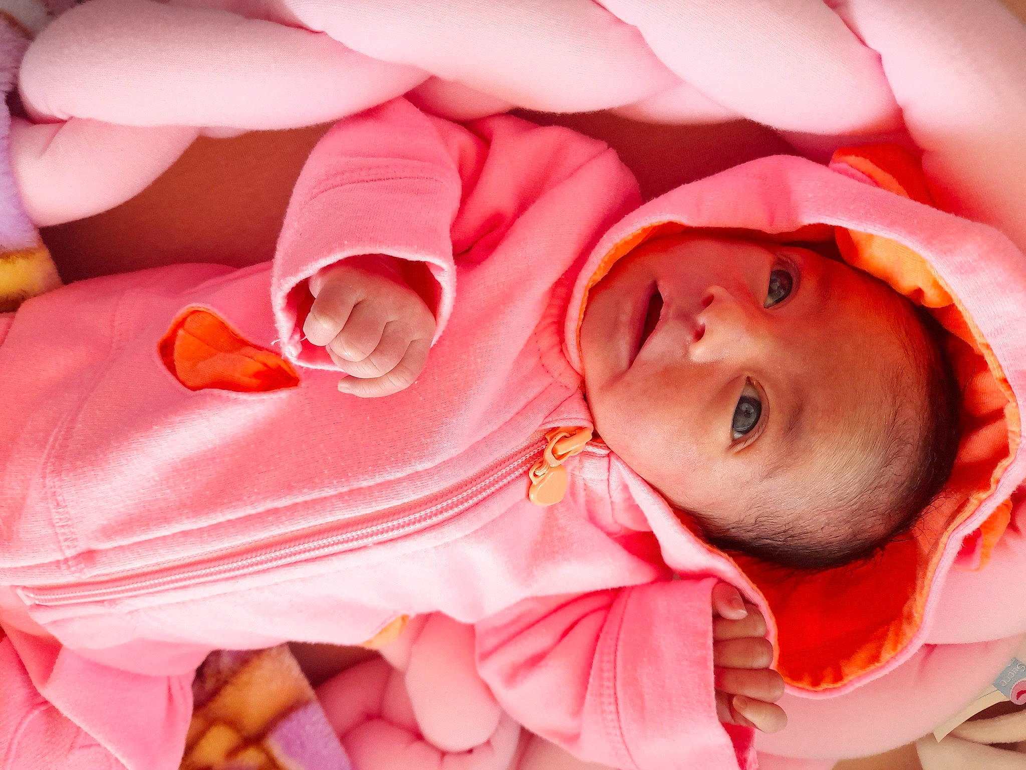 Esmée participe au concours pour gagner de l'argent avec cette photo : baby, baby_products, baby_toddler_clothing, cheek, child, comfort, finger, happy, lip, mouth, nose, orange, organism, person, petal, pink, red, skin, textile, toddler