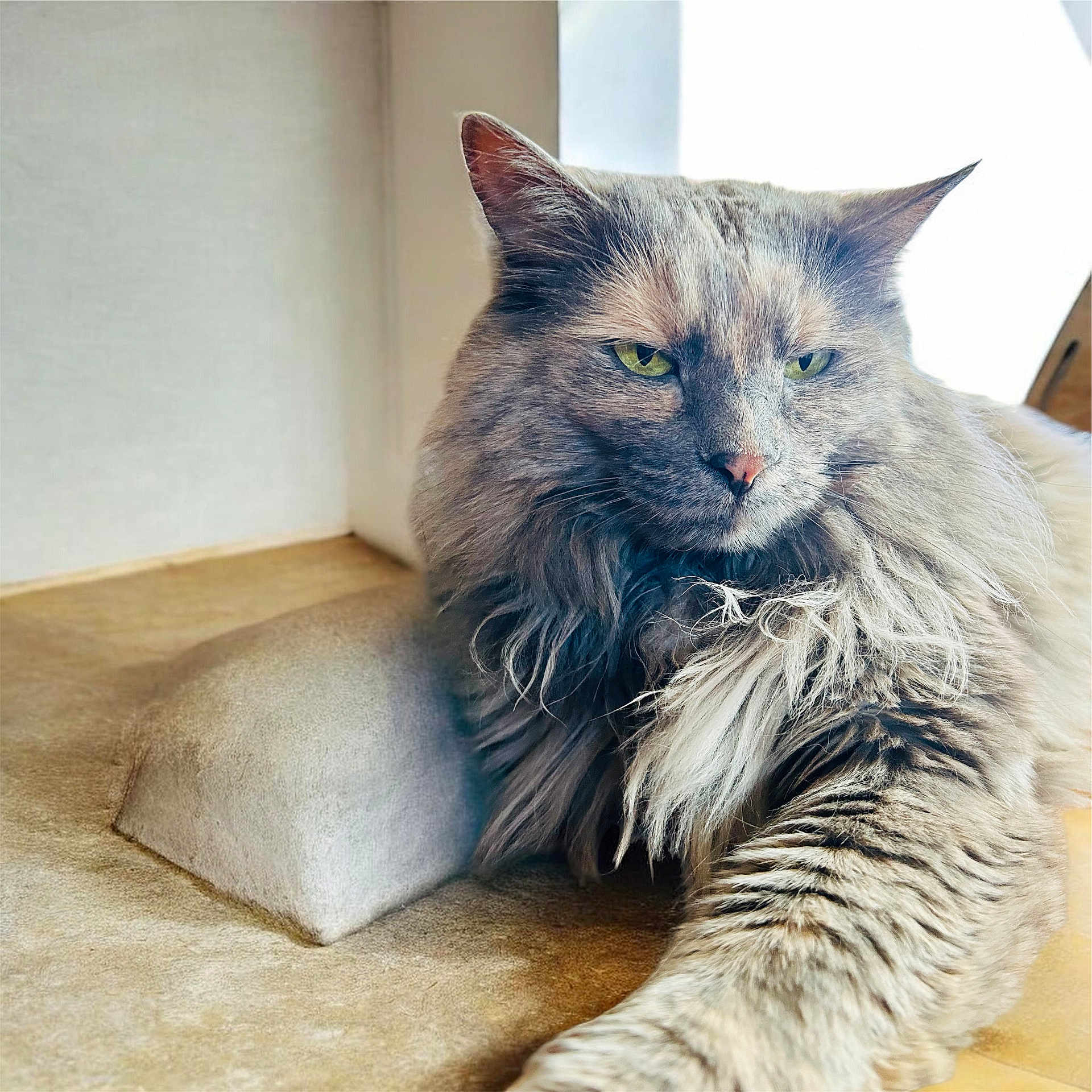 Stormy