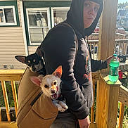 Jack And Lily joined the competition — help win amazing prizes! person, dog, backpack, hoodie, beanie, porch, wooden_railing, bottle, sunlight, shadow, small_dog, black_dog, tan_dog, outdoor, residential, house, window, curious, playful, tongue_out