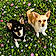 Jack And Lily