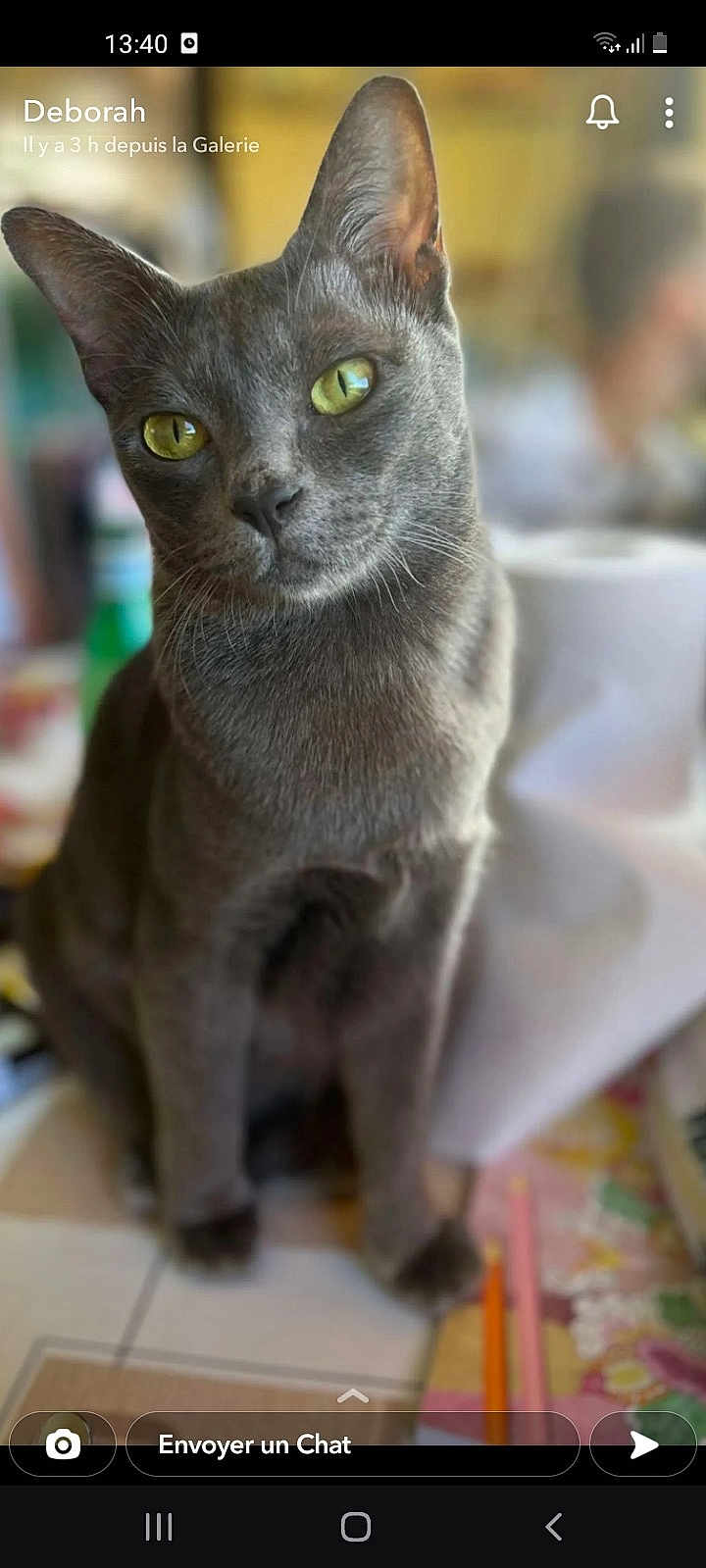 Skitty