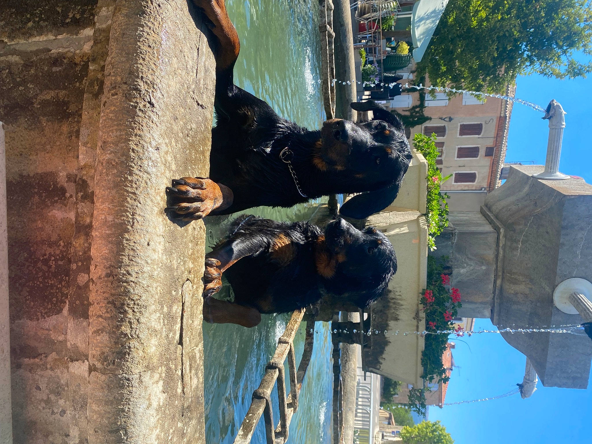 Lady participe au concours pour gagner de l'argent avec cette photo : adventure, art, building, facade, fun, leisure, pedestrian, recreation, reflection, sculpture, sky, tourism, travel, tree, urban_design, water, window, world