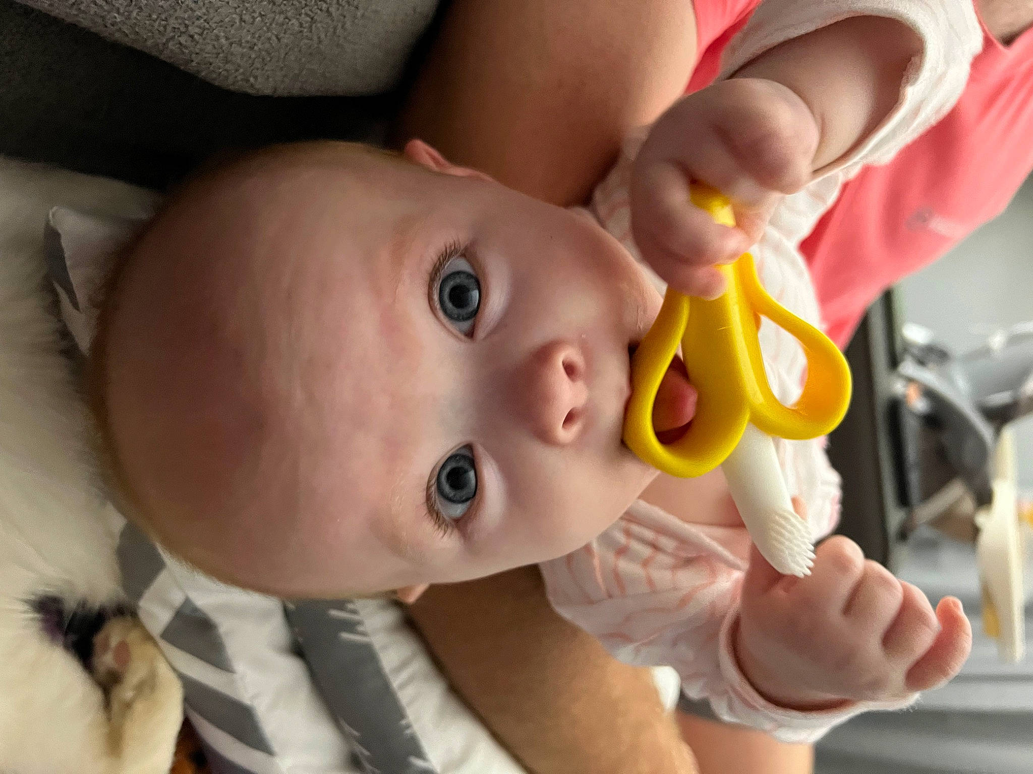 Sophie joined the competition — help win amazing prizes! baby, cheek, chin, ear, eye, eyebrow, eyelash, finger, hair, hairstyle, hand, happy, head, human_body, iris, lip, mouth, nose, person, skin