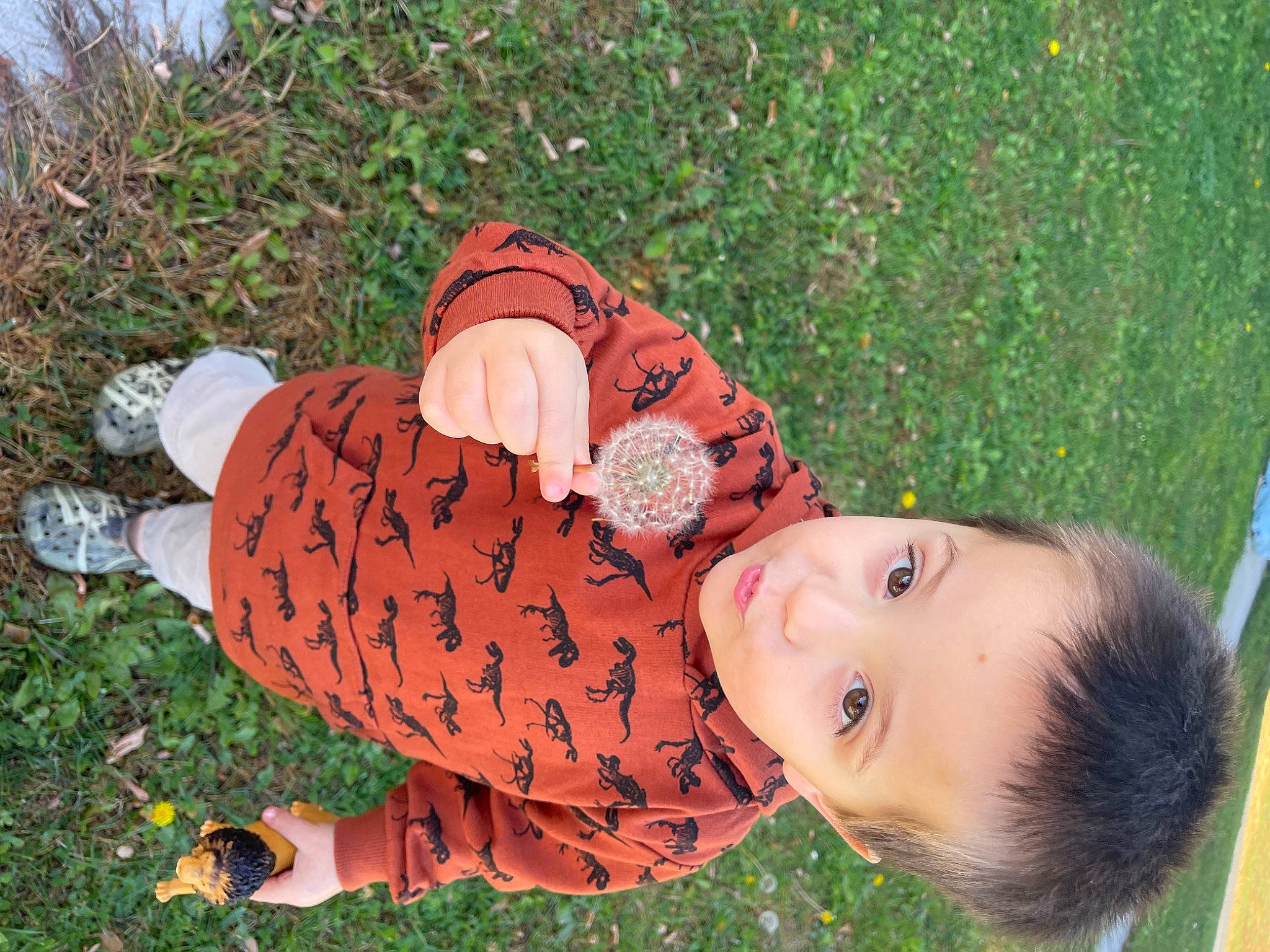 Collin joined the competition — help win amazing prizes! baby, baby_products, baby_toddler_clothing, child, fun, grass, grass_family, grassland, happy, hat, lawn, leisure, pattern, people_in_nature, person, plant, play, recreation, sitting, toddler