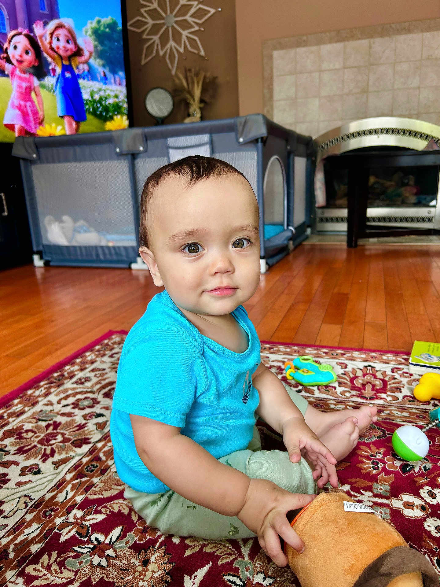 Zachary is registered to the contest to win money with this photo: toddler, child, toy, plush_toy, carpet, wooden_floor, blue_shirt, green_pants, living_room, television, animated_show, furniture, playpen, smiling, sitting, indoors, cute, baby, floor_play, home