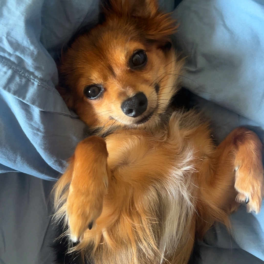 Milo