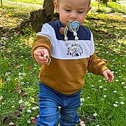 Juliann a rejoint le concours — aidez-le/la à gagner de superbes lots ! toddler, child, pacifier, flower, grass, daisies, nature, outdoor, tree, park, jeans, sweater, shoes, walking, daylight, person, curious, young_child, exploring, casual_clothing