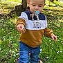 toddler, child, pacifier, flower, grass, daisies, nature, outdoor, tree, park, jeans, sweater, shoes, walking, daylight, person, curious, young_child, exploring, casual_clothing