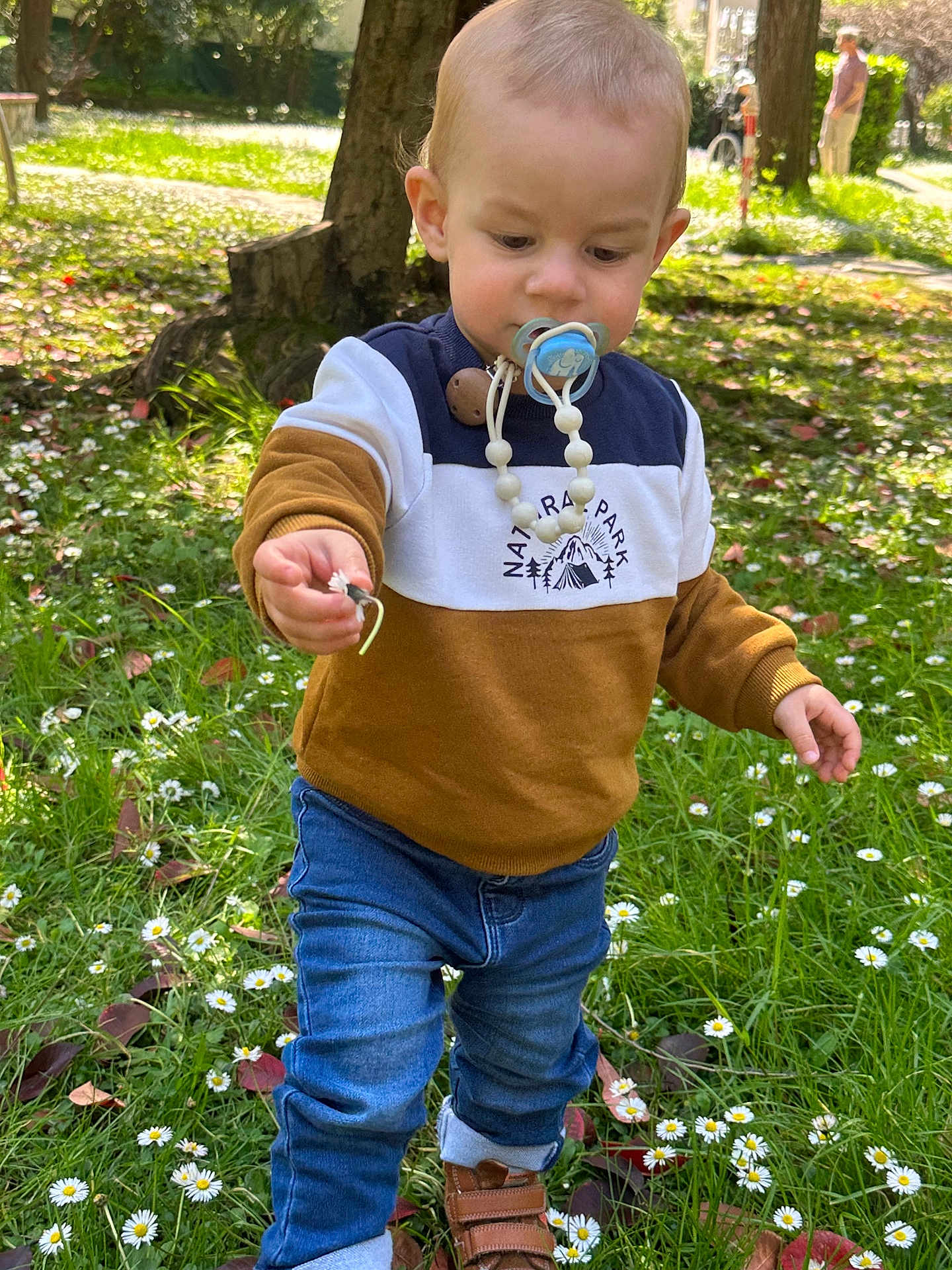 Juliann a rejoint le concours — aidez-le/la à gagner de superbes lots ! toddler, child, pacifier, flower, grass, daisies, nature, outdoor, tree, park, jeans, sweater, shoes, walking, daylight, person, curious, young_child, exploring, casual_clothing