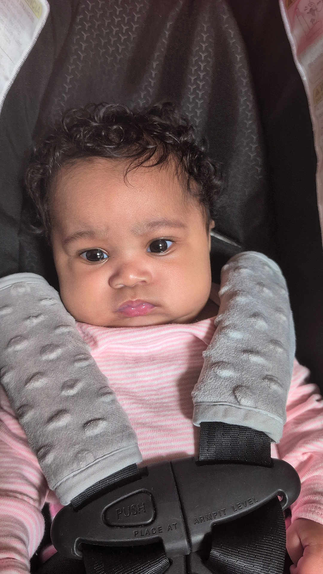 Ophelia joined the competition — help win amazing prizes! baby, child, curly_hair, car_seat, seatbelt, pink_clothing, gray_pads, serious_expression, infant, closeup, indoors, safety_harness, person, cute, young_child, portrait, soft_texture, child_seat, baby_face, strapped_in