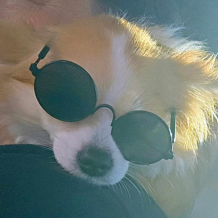 Princess Lola