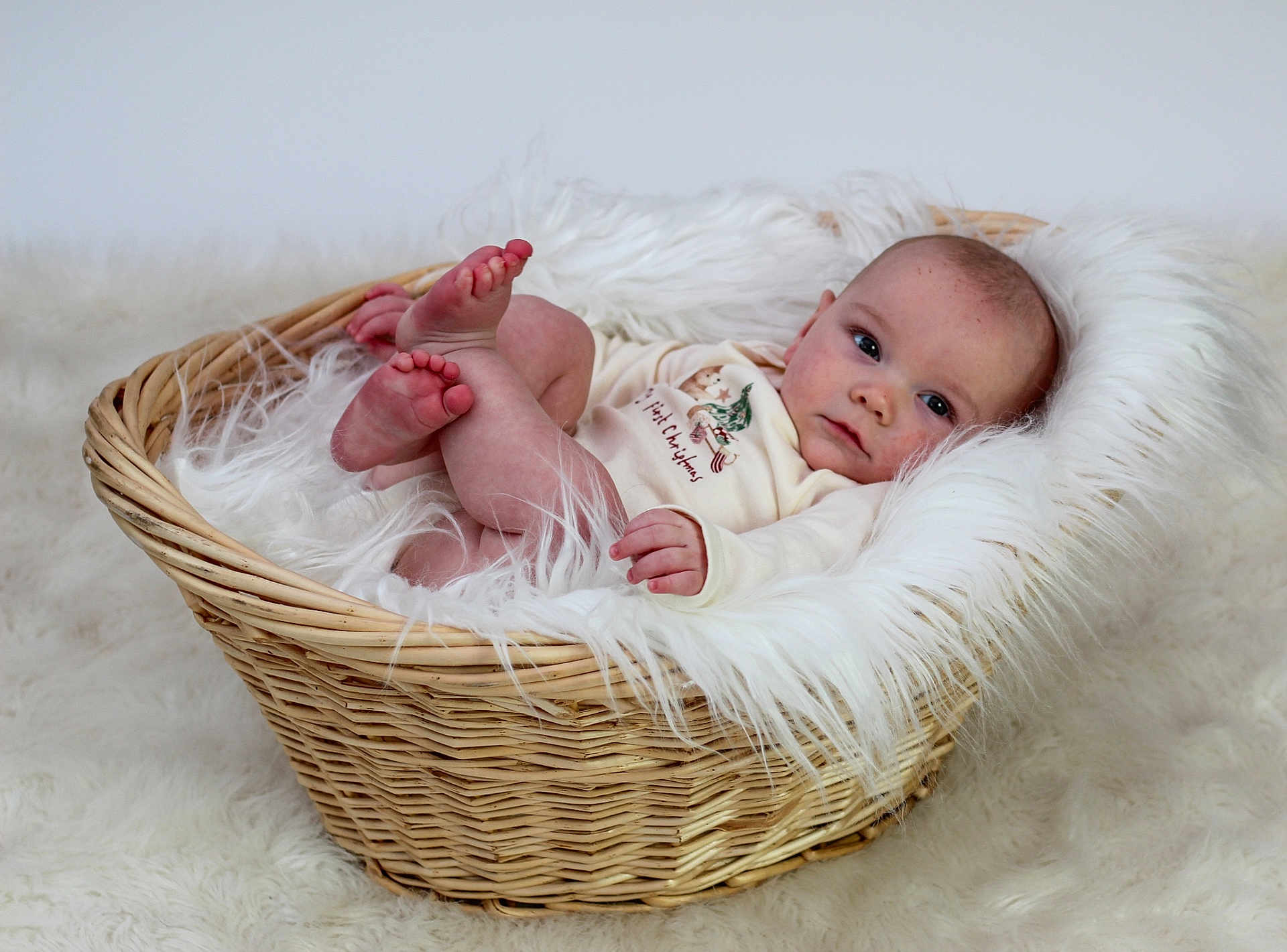 Tommy joined the competition — help win amazing prizes! baby, basket, blanket, cozy, cute, face, feet, fluffy, fur, infant, inside, laying, looking, person, portrait, resting, soft, texture, white, young