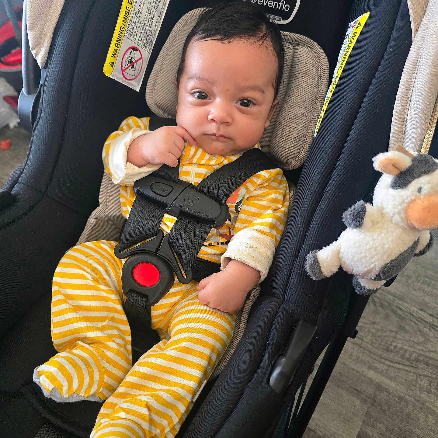 Lester Kenai is registered to the contest to win money with this photo: baby, black_car_seat, car_seat, child, cow_toy, curious, cute, expression, face, flooring, footwear, head, indoors, infant, person, plush_toy, safety_harness, seated, straps, yellow_striped_onesie