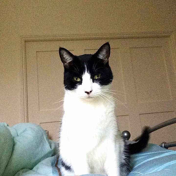 Jasper