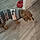 Filou