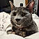 Izzie