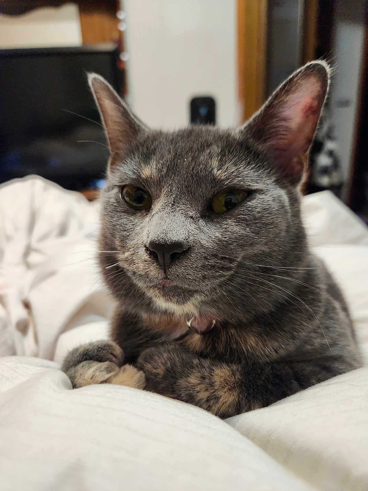 Izzie