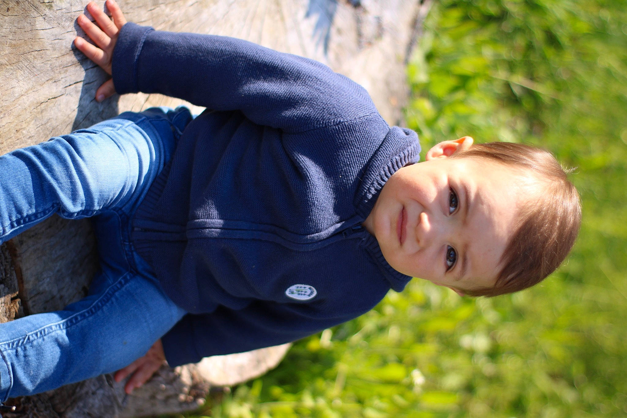 Junior participe au concours pour gagner de l'argent avec cette photo : baby, child, clothing, denim, electric_blue, fun, grass, happy, human, joint, leaf, leisure, people_in_nature, person, plant, recreation, sitting, smile, sorrow, toddler
