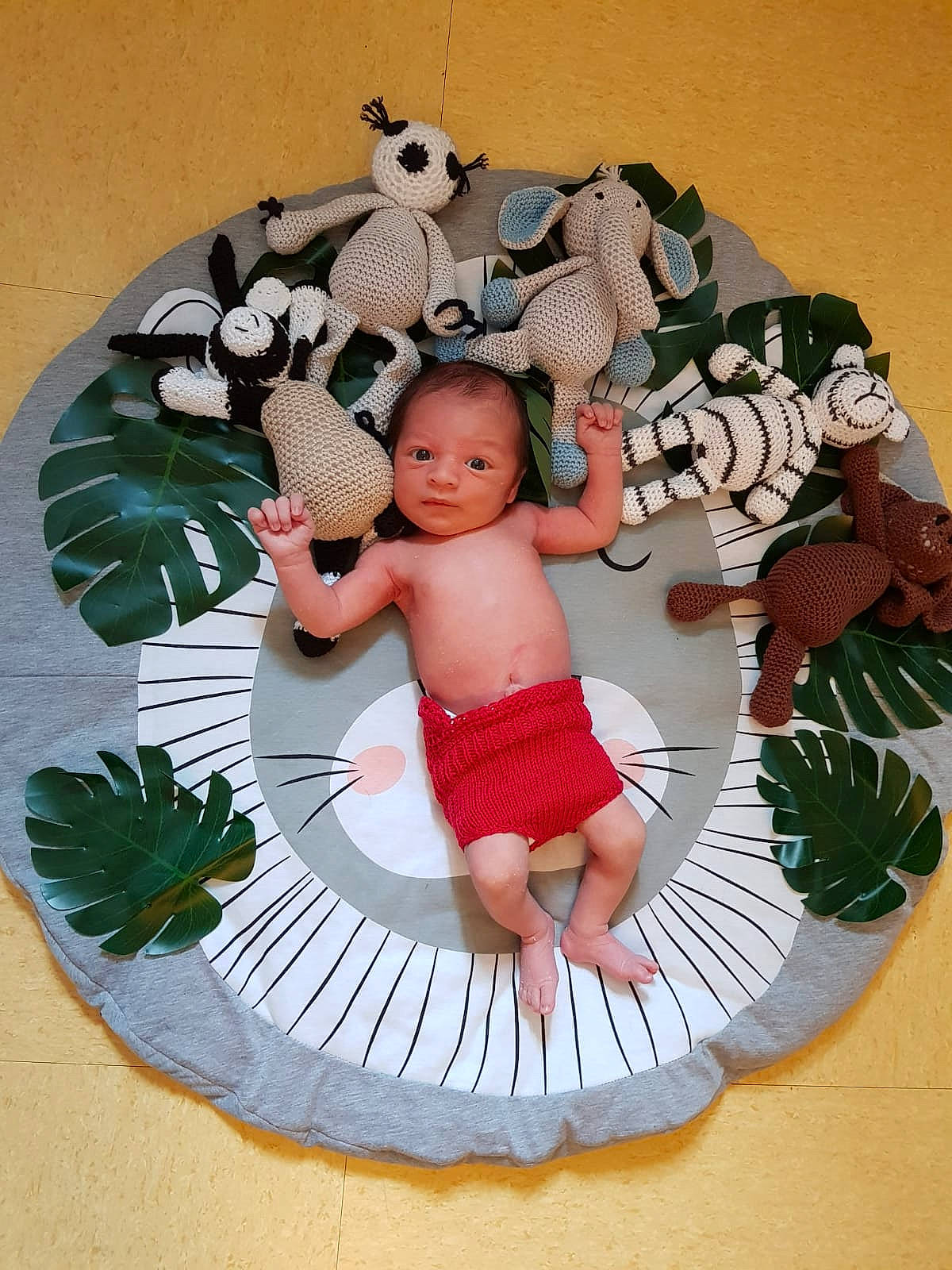 José Luis Junior participe au concours pour gagner de l'argent avec cette photo : cake, child, person, product