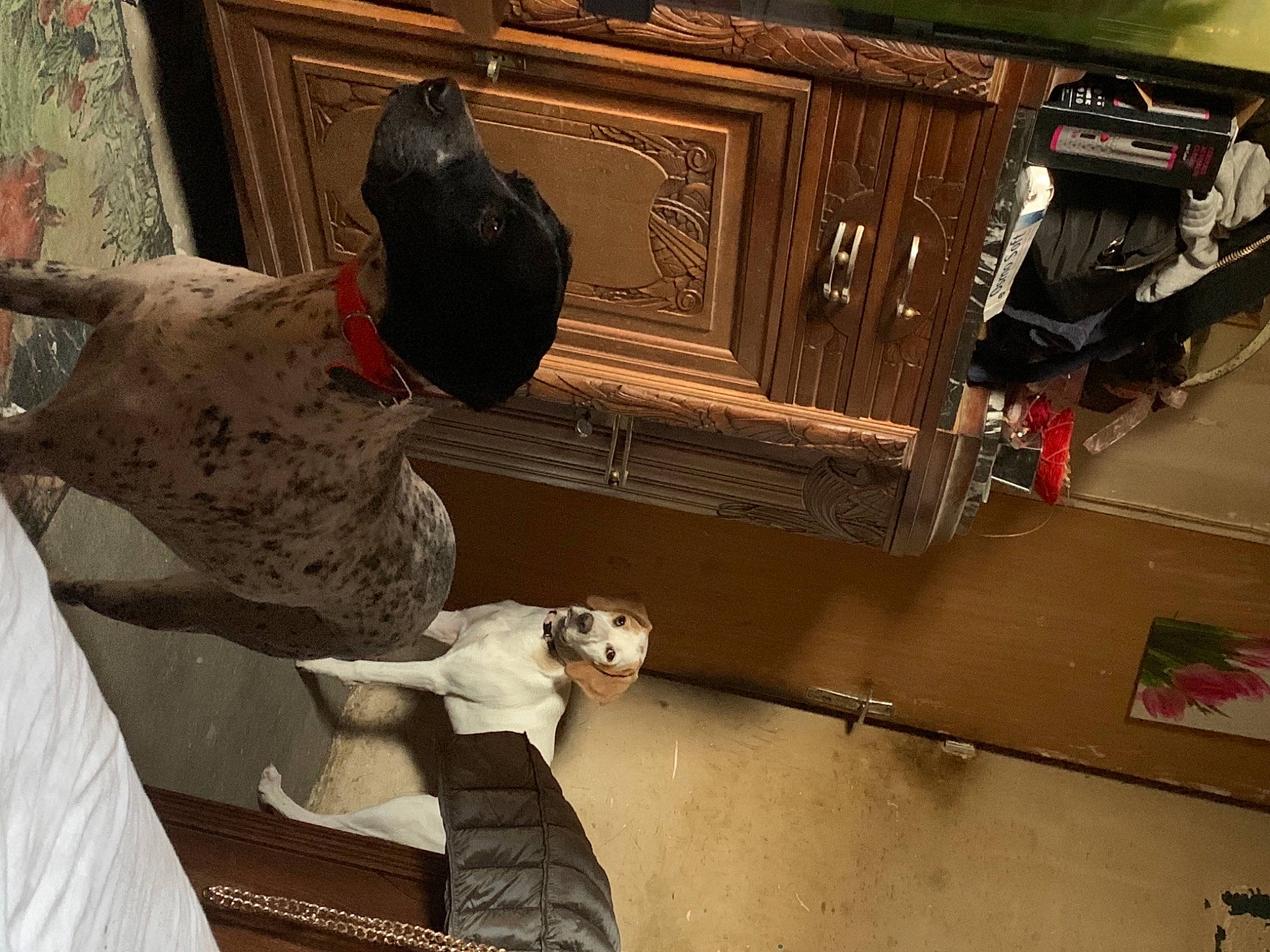 Lilas a rejoint le concours — aidez-le/la à gagner de superbes lots ! antique, art, audio_equipment, bag, baggage, flooring, hardwood, machine, metal, room, sculpture, statue, visual_arts, wall, wood