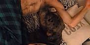 Dotti is registered to the contest to win money with this photo: bed, bedding, blonde, casual, cat, cozy, filter, hearts, indoor, lying_down, man, pet, pillow, plaid_pants, relaxed, selfie, shirtless, tabby_cat, woman, zebra_pattern