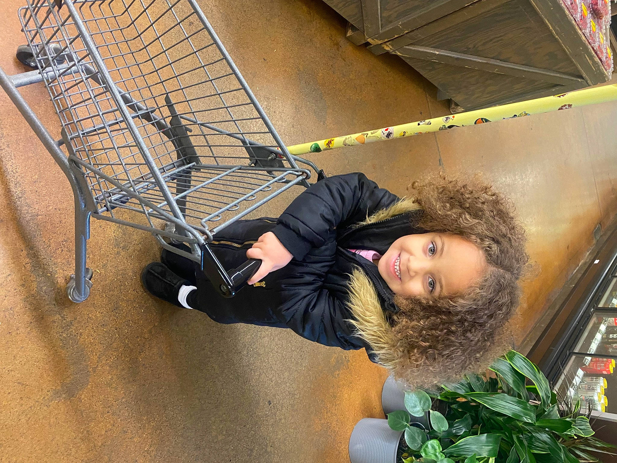 Savanna joined the competition — help win amazing prizes! cart, comfort, flooring, flowerpot, fun, fur, joy, leisure, mesh, metal, net, person, plant, shopping_cart, sitting, smile, wood