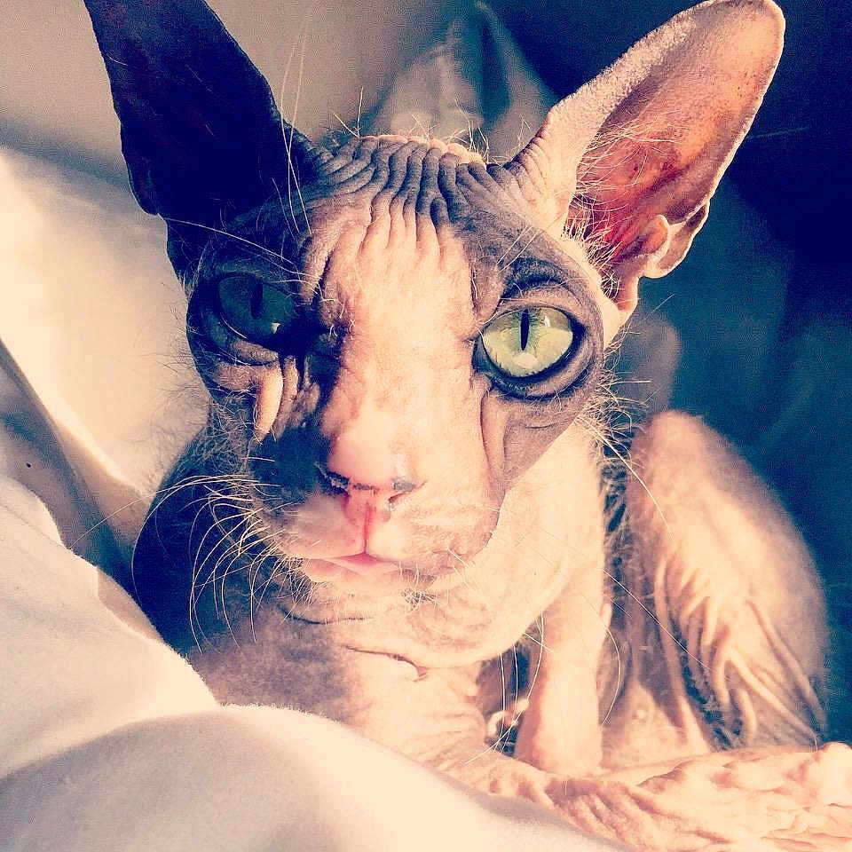 Weirdo