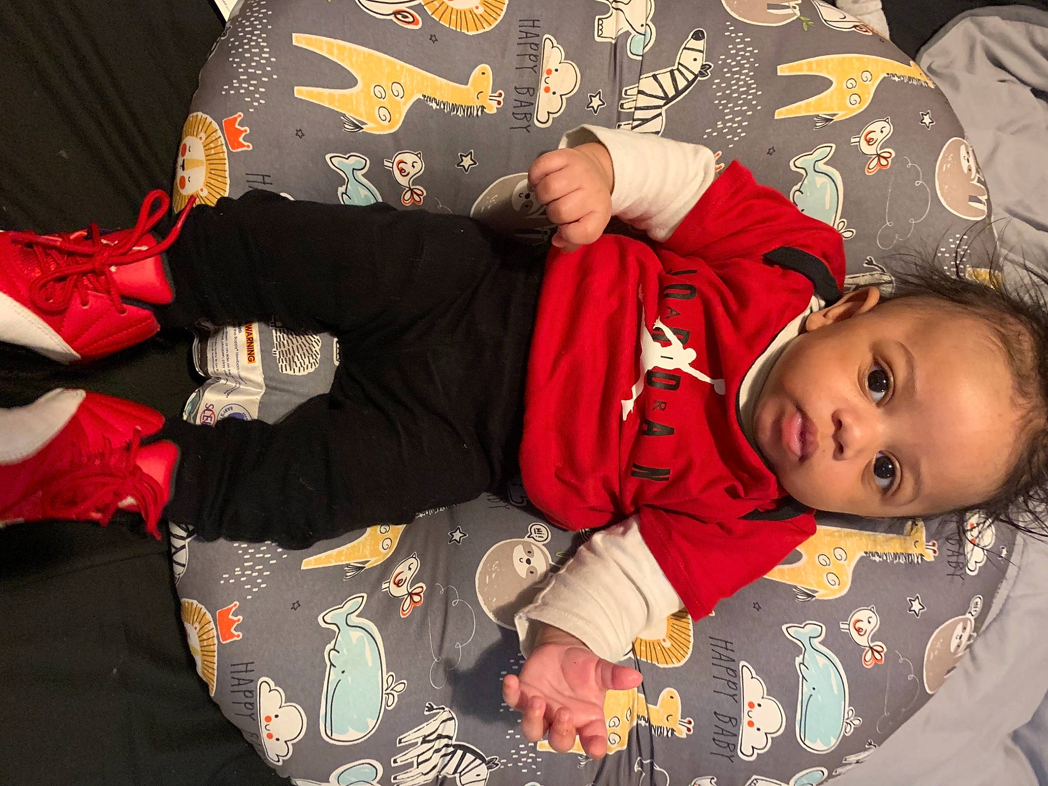 Luis is registered to the contest to win money with this photo: baby, baby_toddler_clothing, child, comfort, lap, person, toddler