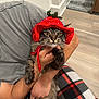 Mio joined the competition — help win amazing prizes! cat, closeup, curious, cute, domestic_animal, feline, funny, gray_shirt, holding, indoor, knitted_hat, person, pet, plaid_pants, red_hat, rug, strawberry_hat, tabby_cat, whiskers, wooden_floor