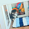 Cozy is registered to the contest to win money with this photo: puppy, dog, enclosure, white, floor, wooden_floor, cushion, blue_cushion, white_cushion, ball, colorful_balls, google_ball, happy, tongue_out, furry, small_dog, indoor, pet, play_area, reflection