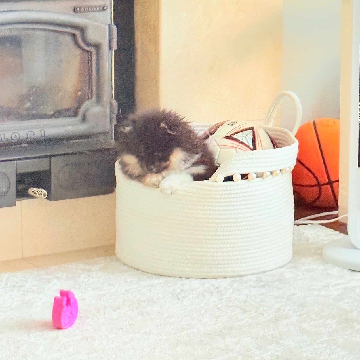 Cozy