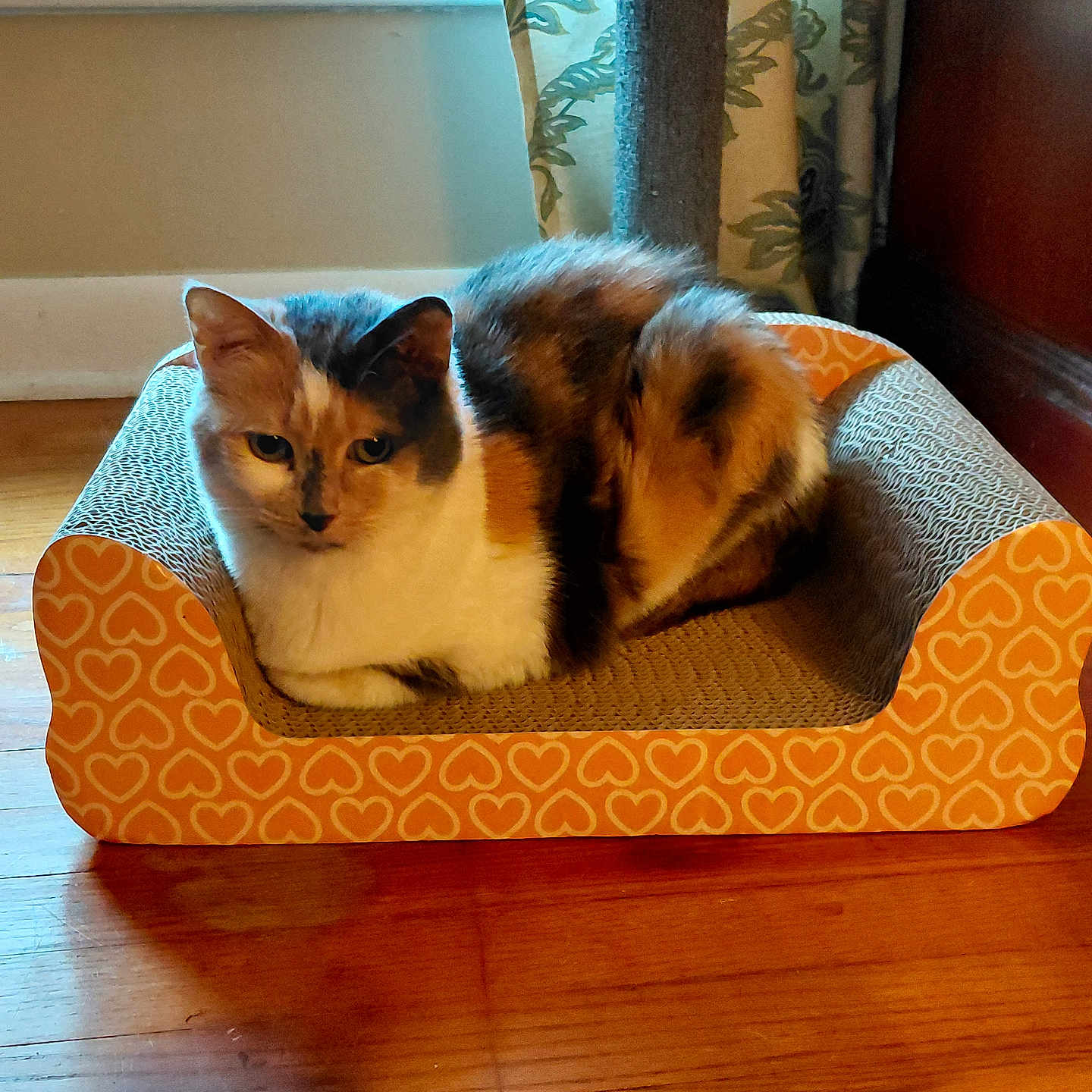 Missy